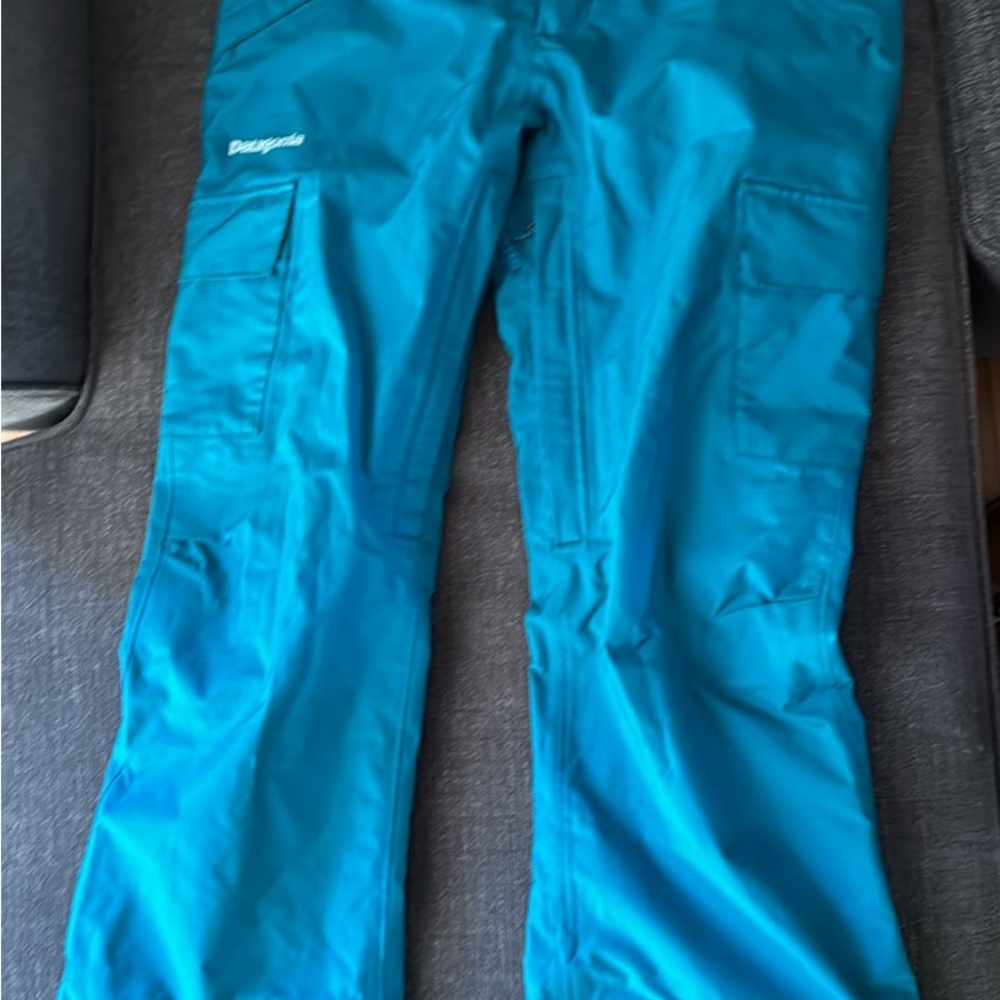 Patagonia Women's Teal ski pants